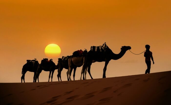 Fes to Marrakech 3 days desert tour