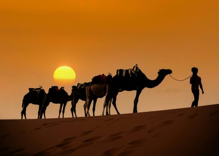 Fes to Marrakech 3 days desert tour