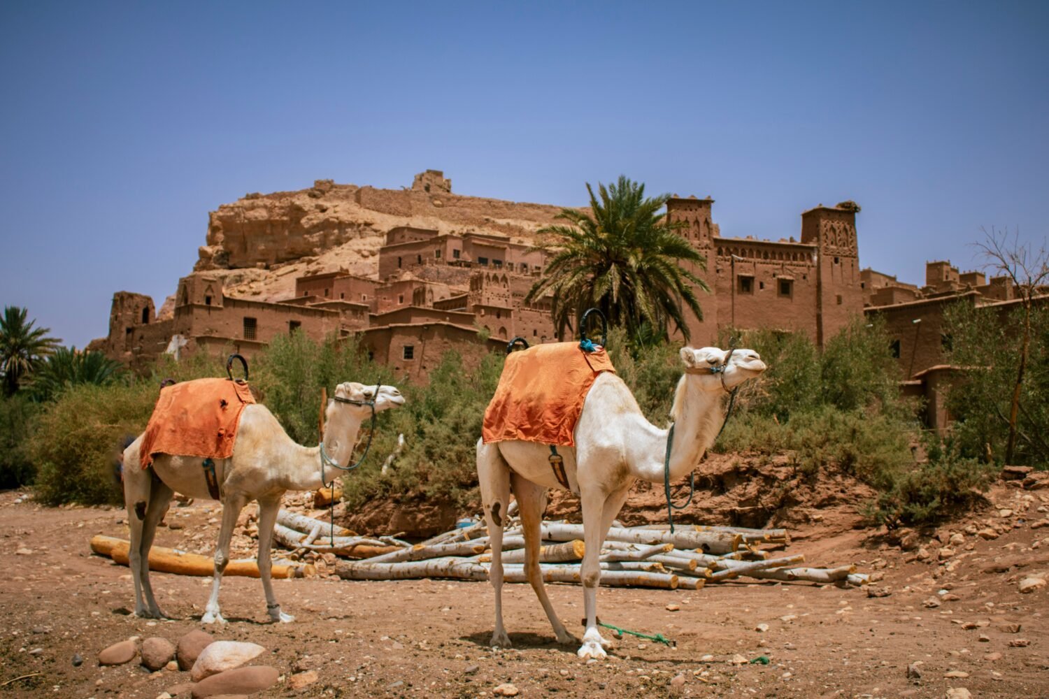 marrakech to fes desert tour 4 days