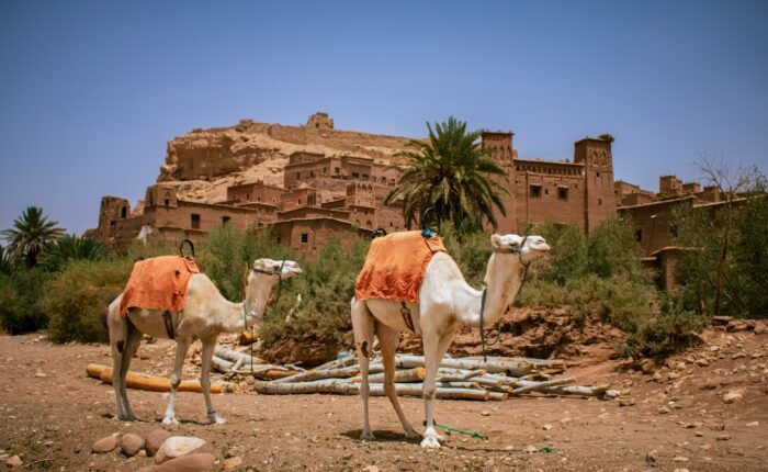 marrakech to fes desert tour 4 days