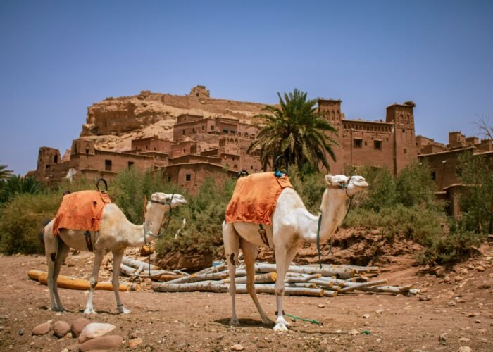 marrakech to fes desert tour 4 days