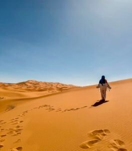 Semester at Sea Morocco Tours