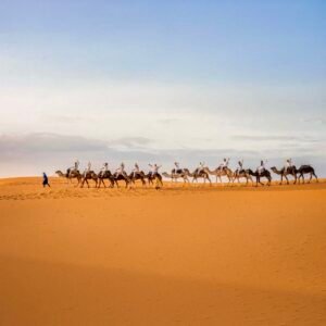 Semester at Sea Morocco Tours