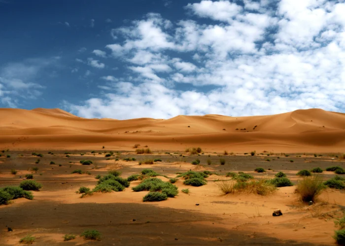 Errachidia desert tour 3 days